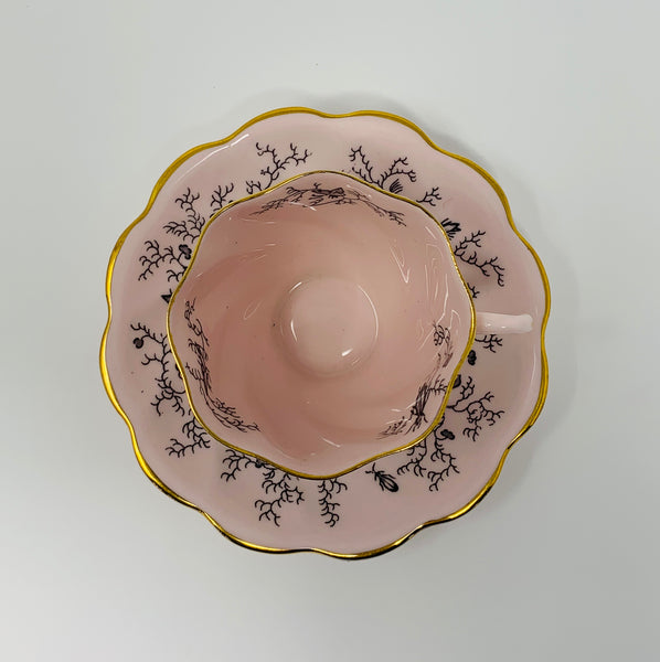 Pink Blush Coalport Bird Of Paradise Cup And Saucer