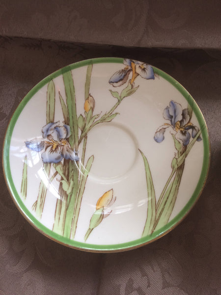 Royal Doulton Deco Style Iris Teacup & Saucer